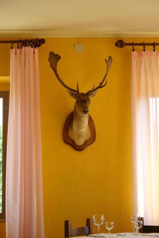 Terre D'Orcia Hotel Seggiano ภายนอก รูปภาพ